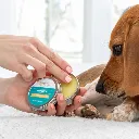 We are Aroma Therpist (750 x 750 px) (1080 x 750 px) (1080 x 1080 px) (1).webp