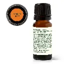 Pumpkin_Spice-10ml-02_1946x.webp