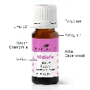 hocus_focus_kidsafe_eo_blend-10ml-03_1946x.webp