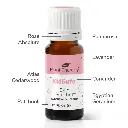 skin_soother_kidsafe_eo_blend-10ml-03_960x960_6111912d-cdd8-4a2c-b7b7-9c971a4946db_1946x.webp