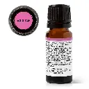 balance_eo_blend-10ml-02_1946x.webp