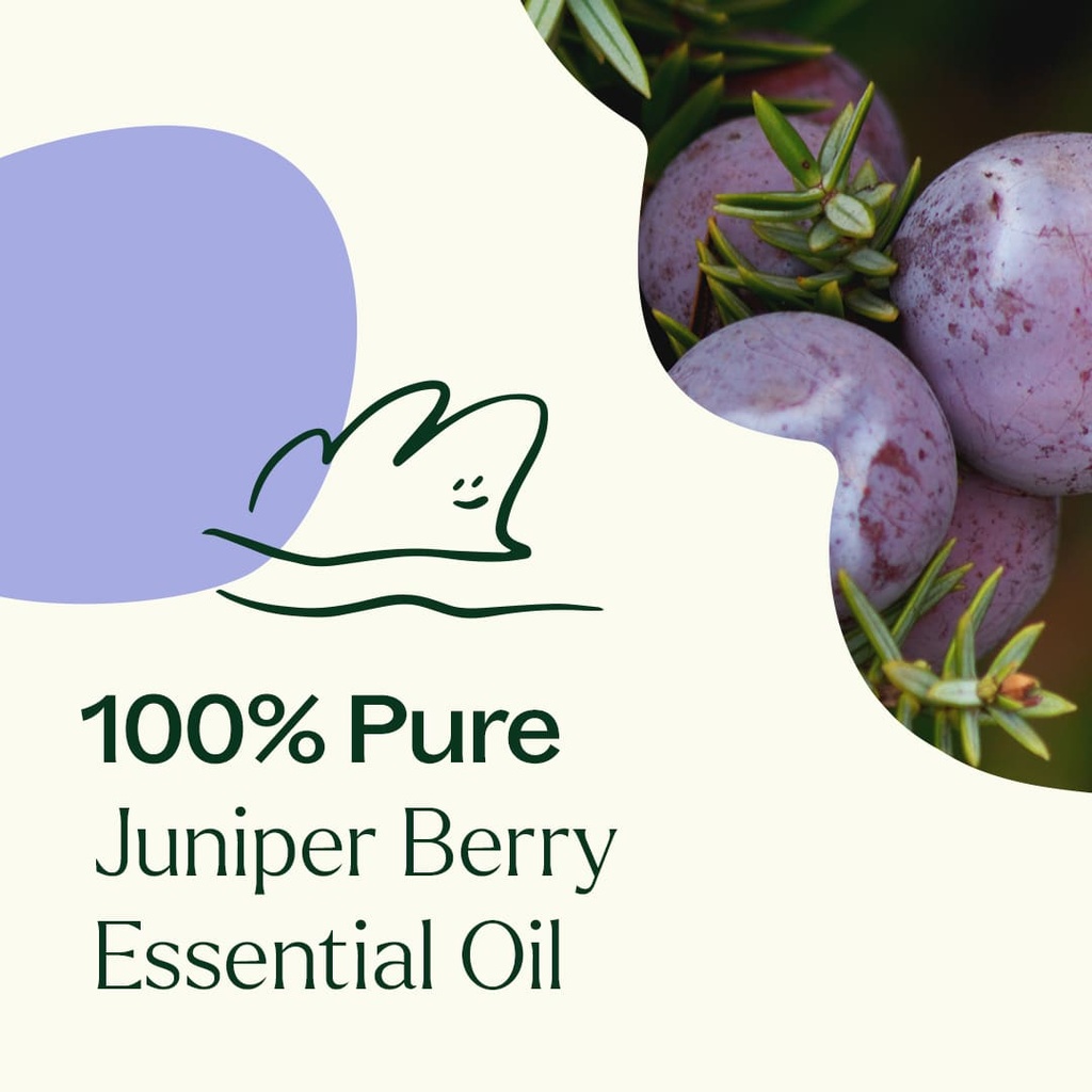 Juniper Berry Essential Oil - 10ml - 3