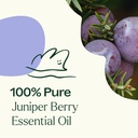 Juniper Berry Essential Oil - 10ml - 3