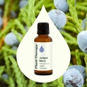 Juniper Berry Essential Oil - 10ml - 6