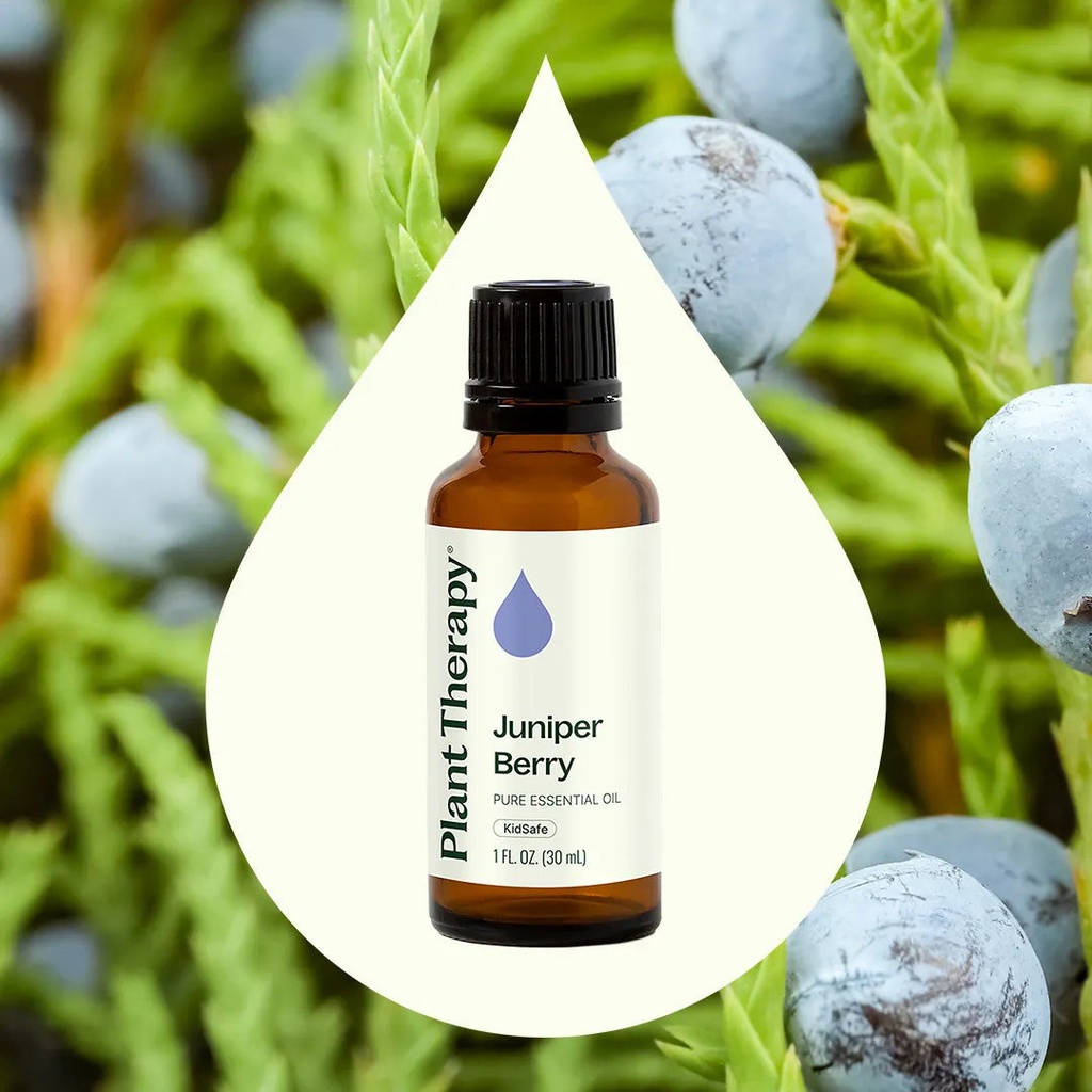 Juniper Berry Essential Oil - 30ml - 6