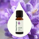 Lavender Essential Oil - 1