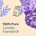Lavender Essential Oil - 4