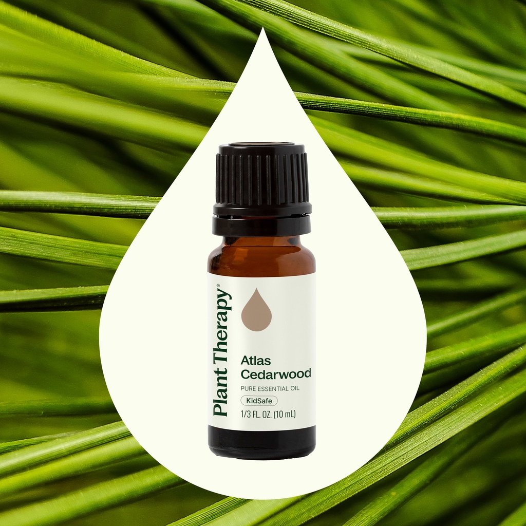 Atlas Cedarwood Essential Oil - 10ml - 1