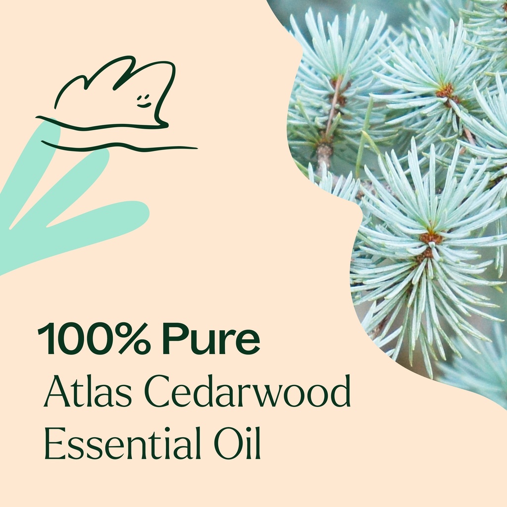Atlas Cedarwood Essential Oil - 10ml - 5