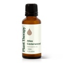 Atlas Cedarwood Essential Oil - 10ml - 10