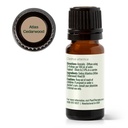 Atlas Cedarwood Essential Oil - 10ml - 12