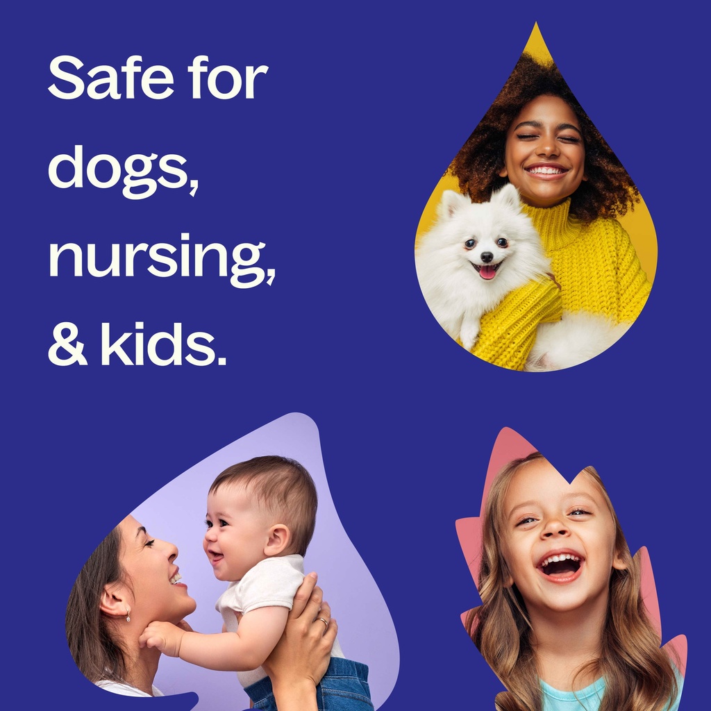 Balance Essential Oil Blend - 10ml - 6