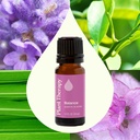 Balance Essential Oil Blend - 10ml - 7