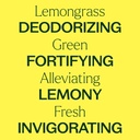 Lemongrass Essential Oil - 10ml - 4