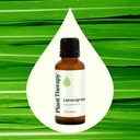 Lemongrass Essential Oil - 10ml - 7