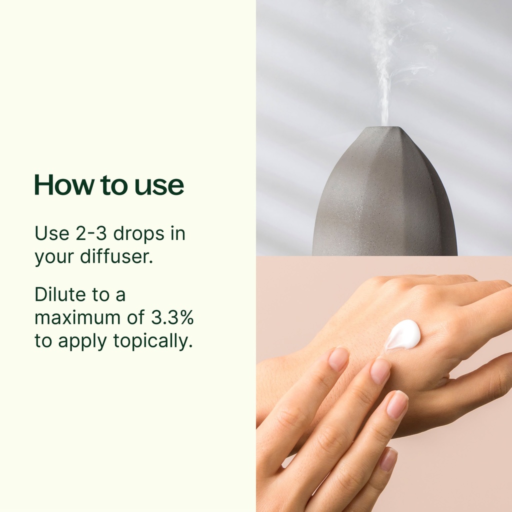 Basil Linalool Essential Oil - 10ml - 2