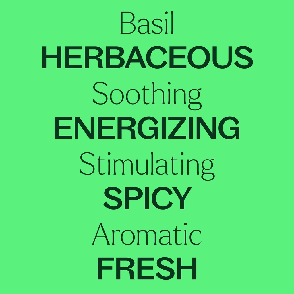 Basil Linalool Essential Oil - 10ml - 3