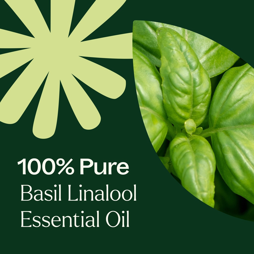 Basil Linalool Essential Oil - 10ml - 6
