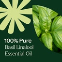 Basil Linalool Essential Oil - 10ml - 6