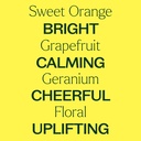 Blues Buster Essential Oil Blend - 10ml - 3