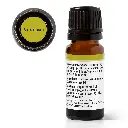 cardamom_eo-10ml-02_1946x.webp