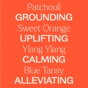 Chill Out Essential Oil Blend - 10ml - 5