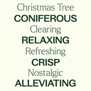 Christmas Tree Essential Oil Blend - 10ml - 4