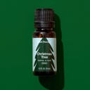 Christmas Tree Essential Oil Blend - 10ml - 7