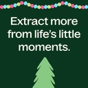 Christmas Tree Essential Oil Blend - 10ml - 9