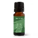 Cedar_Forest_Blend-10ml-01_1946x.webp