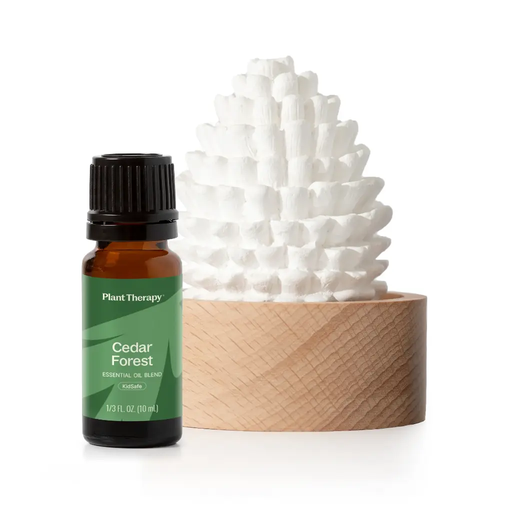 cedar_pine_diffuser_set-01_1_1946x.webp