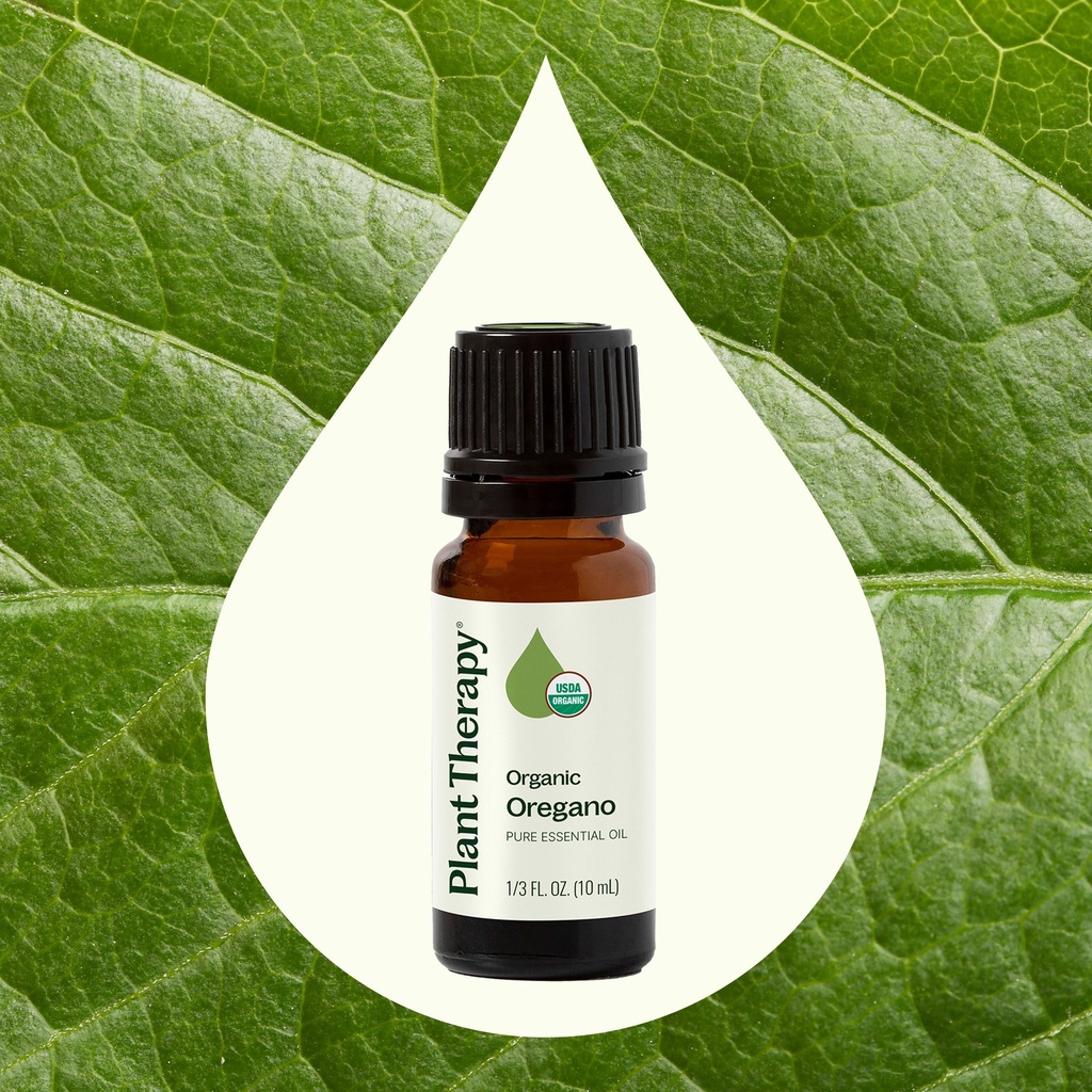 Oregano Essential Oil - 10ml - 1