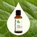 Oregano Essential Oil - 10ml - 7