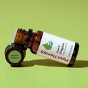 Oregano Essential Oil - 10ml - 10
