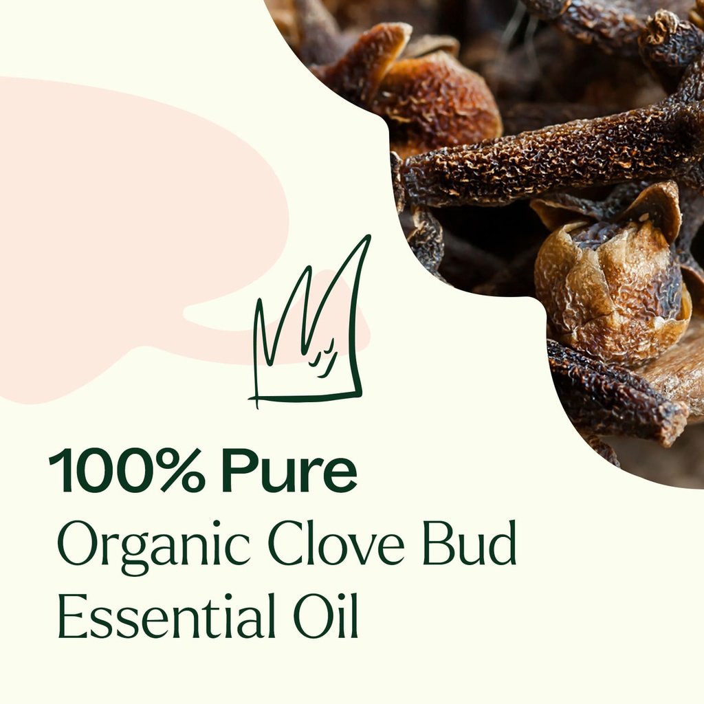 Clove Bud Essential Oil - 10ml - 3