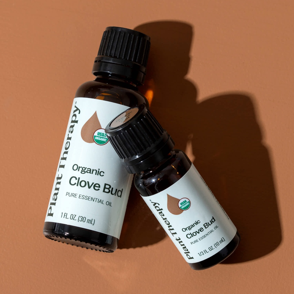 Clove Bud Essential Oil - 10ml - 6