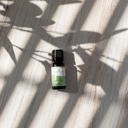 Organic Respir Support® Essential Oil Blend Pre-Diluted Roll-On -10ml - 1