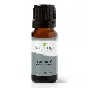 Gut Aid™ Essential Oil Blend - 10ml