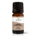 Australian Sandalwood  Essential Oil - 5ml