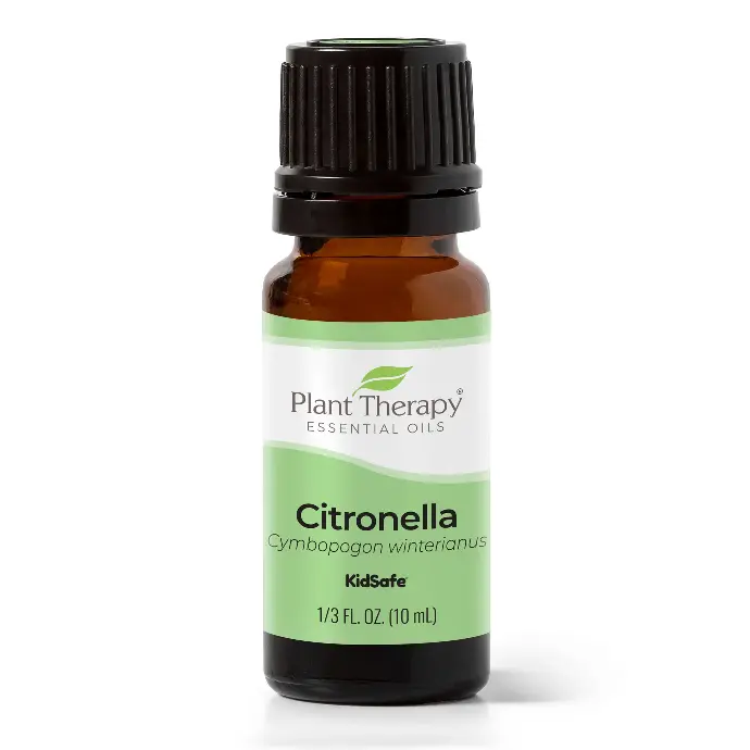 Citronella Essential Oil - 10ml