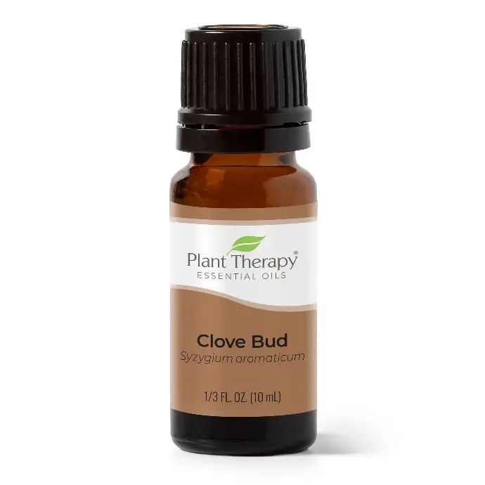 Clove Bud Essential Oil - 10ml