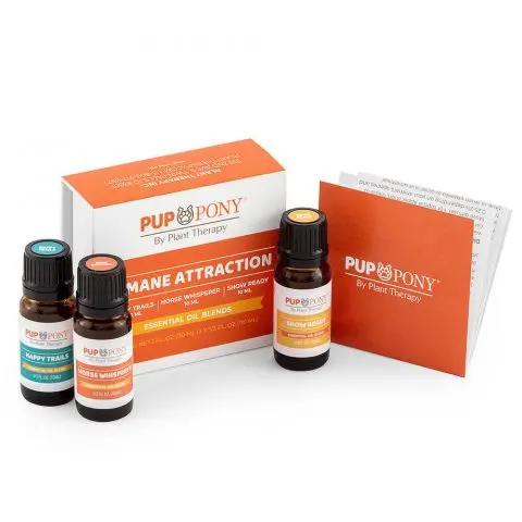Mane Attraction Essential Oil Blend - Set of 3
