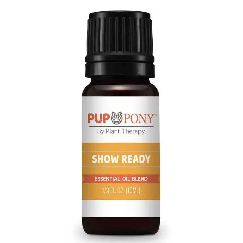 Show Ready Essential Oil Blend - 10ml